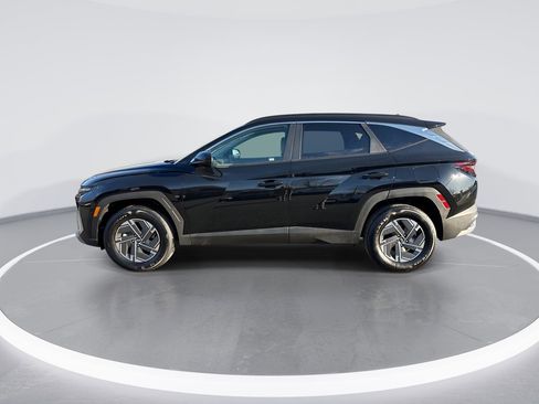 Certified 2025 Hyundai Tucson Blue image 5