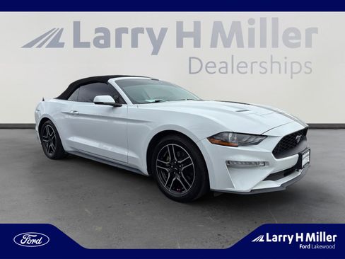 Used 2019 Ford Mustang Premium image 7