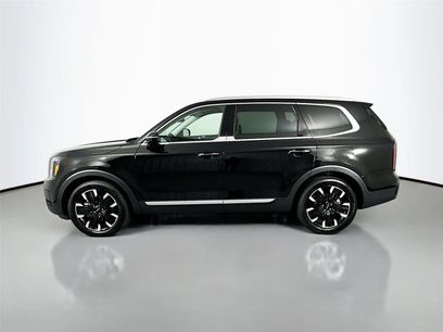 Used 2025 Kia Telluride SX Prestige