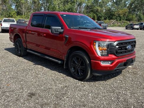 Used 2023 Ford F150 XLT w/ Equipment Group 302A High AWD/4WD image 1