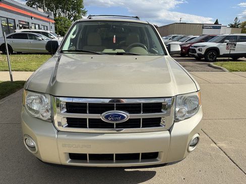 Used 2011 Ford Escape XLT w/ 203A Rapid Spec Order Code AWD/4WD image 2