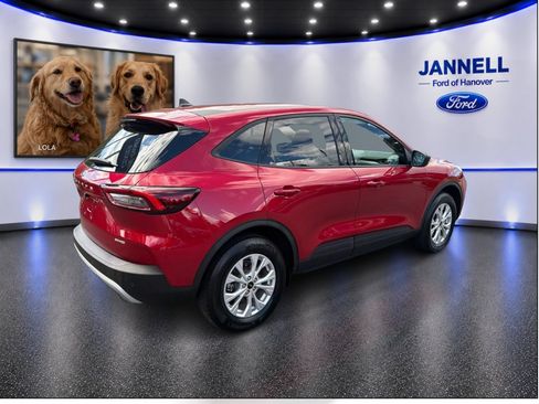 Used 2025 Ford Escape Active w/ Active Premium Tech Pack AWD/4WD image 6