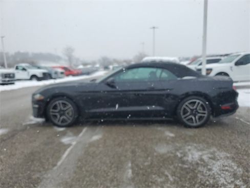 Used 2019 Ford Mustang Premium image 7