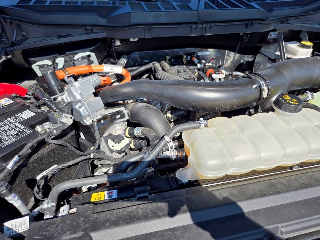 Used 2025 Ford F150 XLT w/ Equipment Group 302A MID AWD/4WD image 21