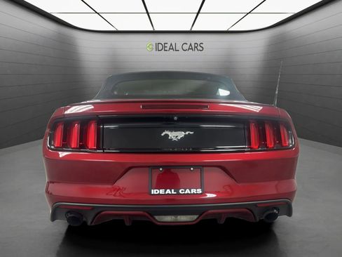 Used 2017 Ford Mustang Premium w/ Equipment Group 201A RWD image 6