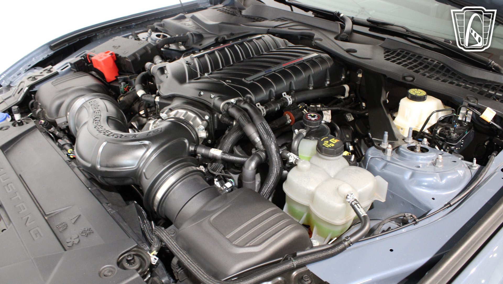 Used 2024 Ford Mustang GT w/ GT Performance Package RWD image 8