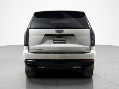 Used 2025 Cadillac Escalade Sport w/ LPO, ONYX Package