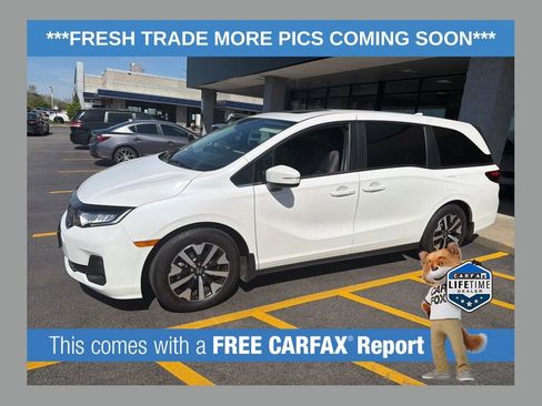 Used 2025 Honda Odyssey EX-L image 1
