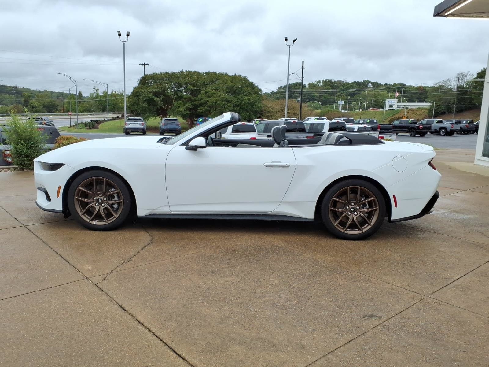 Used 2025 Ford Mustang Premium RWD image 5
