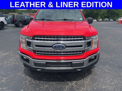 Used 2019 Ford F150 XLT w/ Equipment Group 302A Luxury AWD/4WD image 7