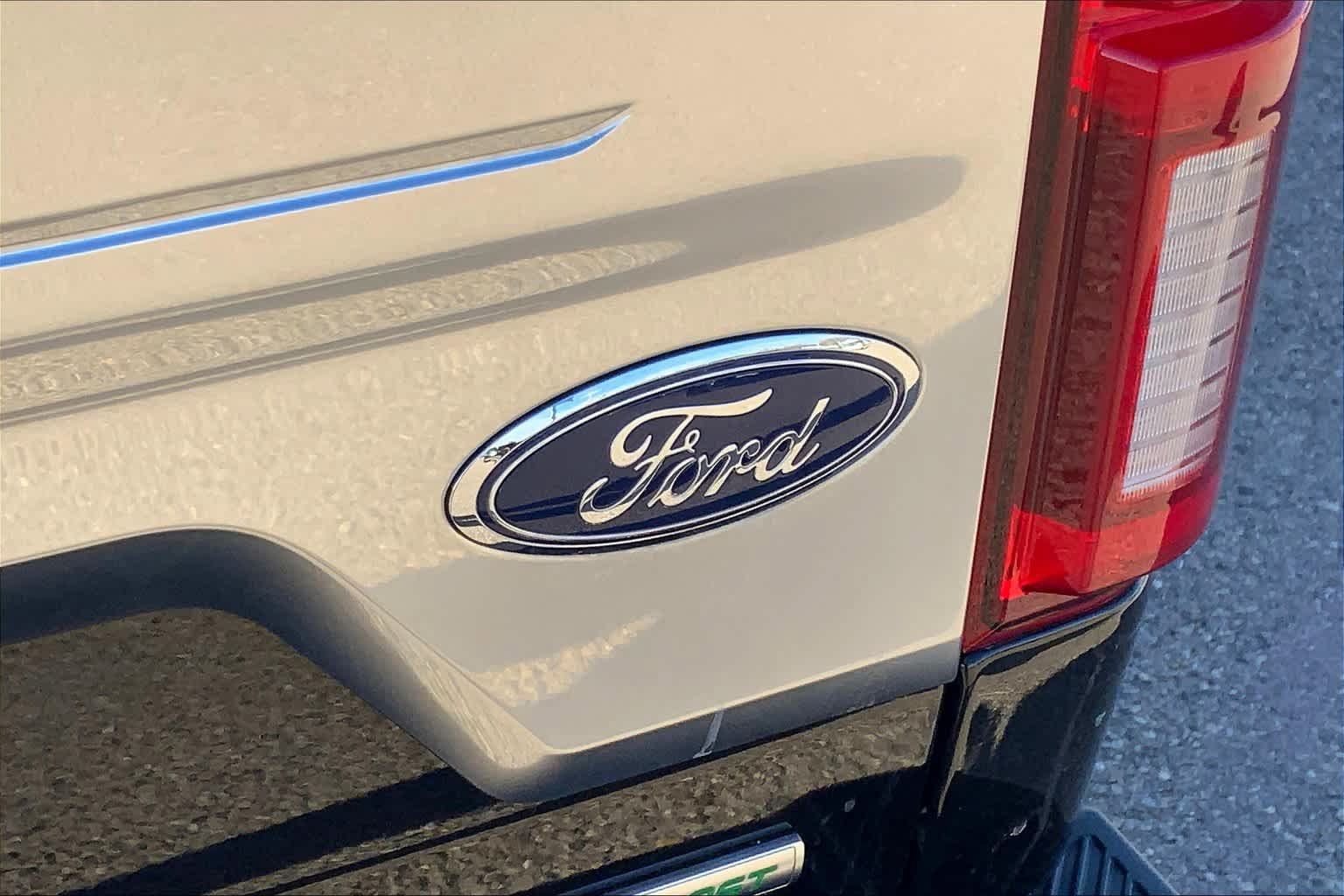 Used 2019 Ford F150 Platinum AWD/4WD image 32
