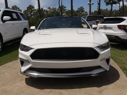 Used 2019 Ford Mustang Coupe w/ Equipment Group 101A RWD image 6