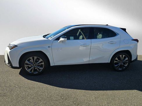 Used 2025 Lexus UX 300h AWD image 6