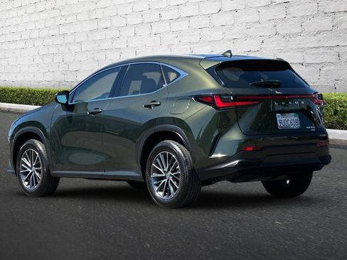 Used 2025 Lexus NX 350 AWD w/ Cold Area Package image 6