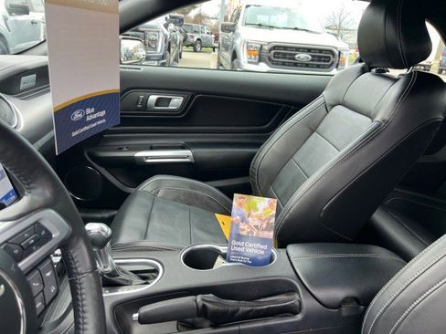 Certified 2023 Ford Mustang Premium w/ Equipment Group 201A RWD image 9