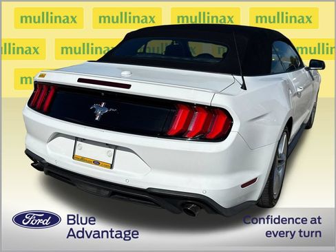 Used 2019 Ford Mustang Premium w/ Equipment Group 201A RWD image 4