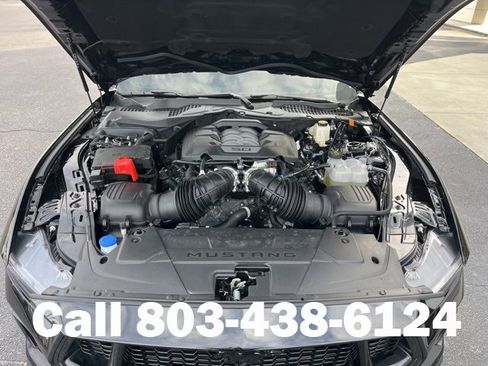 Used 2025 Ford Mustang GT w/ Mustang Nite Pony Package image 33