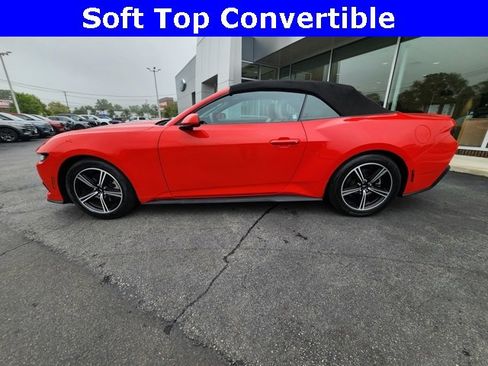 Used 2024 Ford Mustang Premium image 4