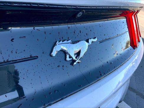 Used 2018 Ford Mustang Coupe image 9