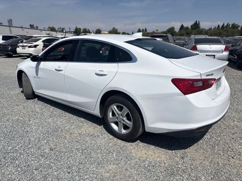 Used 2024 Chevrolet Malibu LT FWD image 7