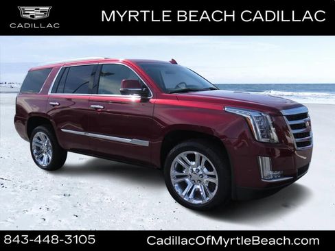 Used 2019 Cadillac Escalade Luxury AWD/4WD image 1