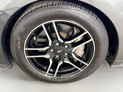 Used 2019 Ford Mustang GT w/ Equipment Group 301A RWD image 36