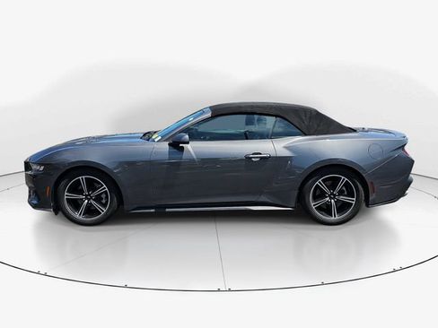 Used 2024 Ford Mustang Premium RWD image 6