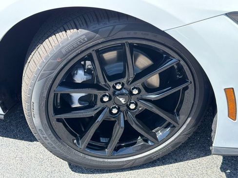 New 2026 Ford Mustang Coupe w/ Mustang Nite Pony Package RWD image 18