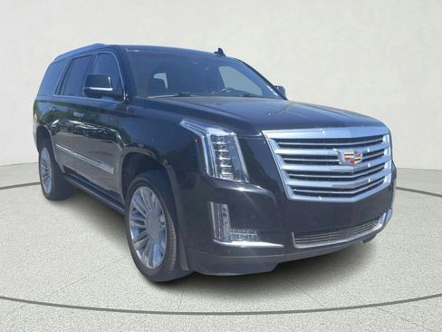 Used 2016 Cadillac Escalade Platinum image 1