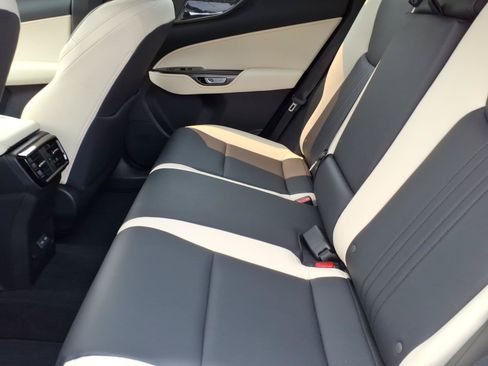 Certified 2024 Lexus NX 350 AWD image 6