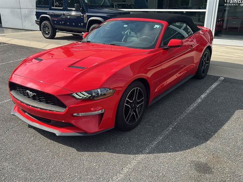 Used 2019 Ford Mustang Premium RWD image 1