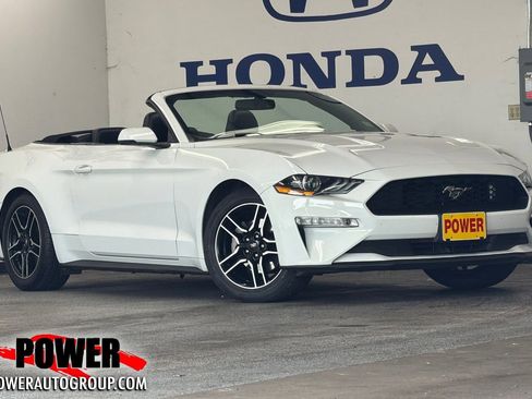 Used 2019 Ford Mustang Premium RWD image 1