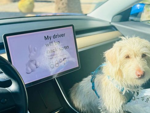 Used 2018 Tesla Model 3 Mid Range image 15