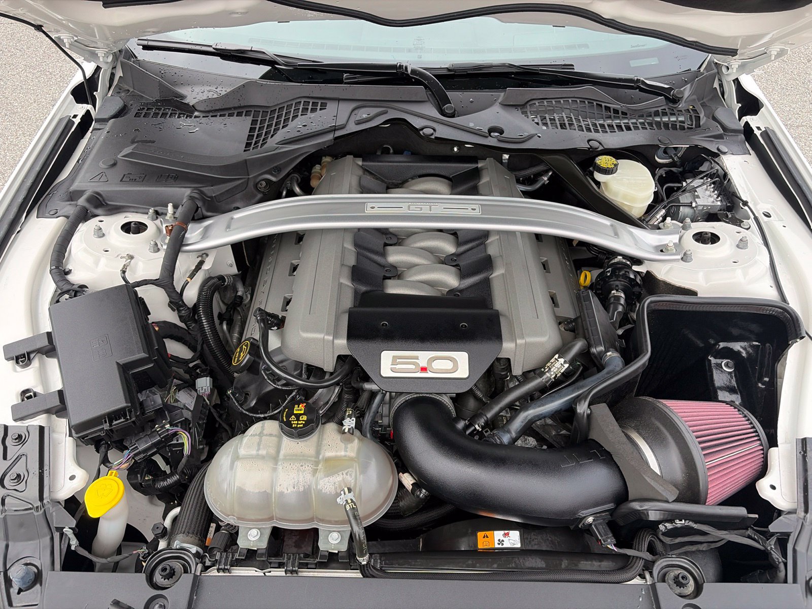 Used 2017 Ford Mustang GT Premium w/ Equipment Group 401A RWD image 9