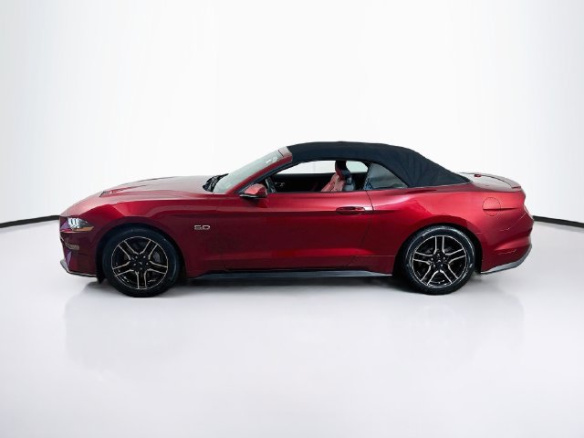 Used 2019 Ford Mustang GT Premium w/ Equipment Group 401A RWD image 5