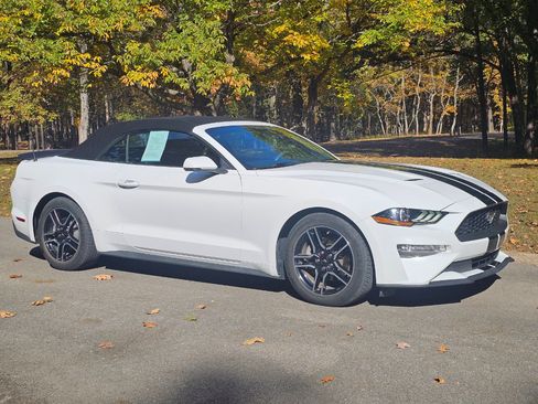 Used 2018 Ford Mustang Premium image 3