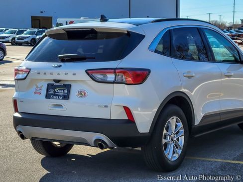 Used 2020 Ford Escape SE image 6