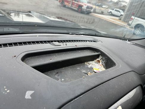 Used 2023 Chevrolet Silverado 1500 Custom Trail Boss image 21