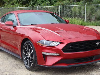 Used 2023 Ford Mustang Premium w/ Equipment Group 201A