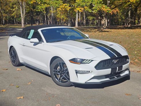Used 2018 Ford Mustang Premium image 2