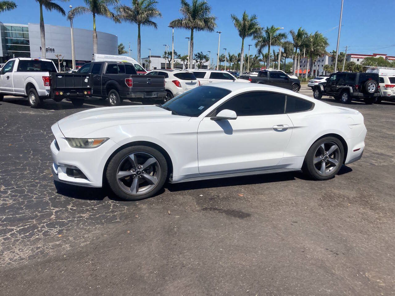 Used 2015 Ford Mustang Coupe w/ Equipment Group 051A RWD image 2