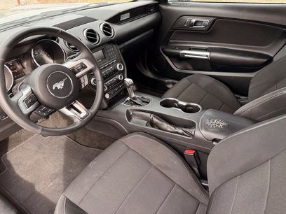 Used 2015 Ford Mustang Coupe w/ Equipment Group 051A