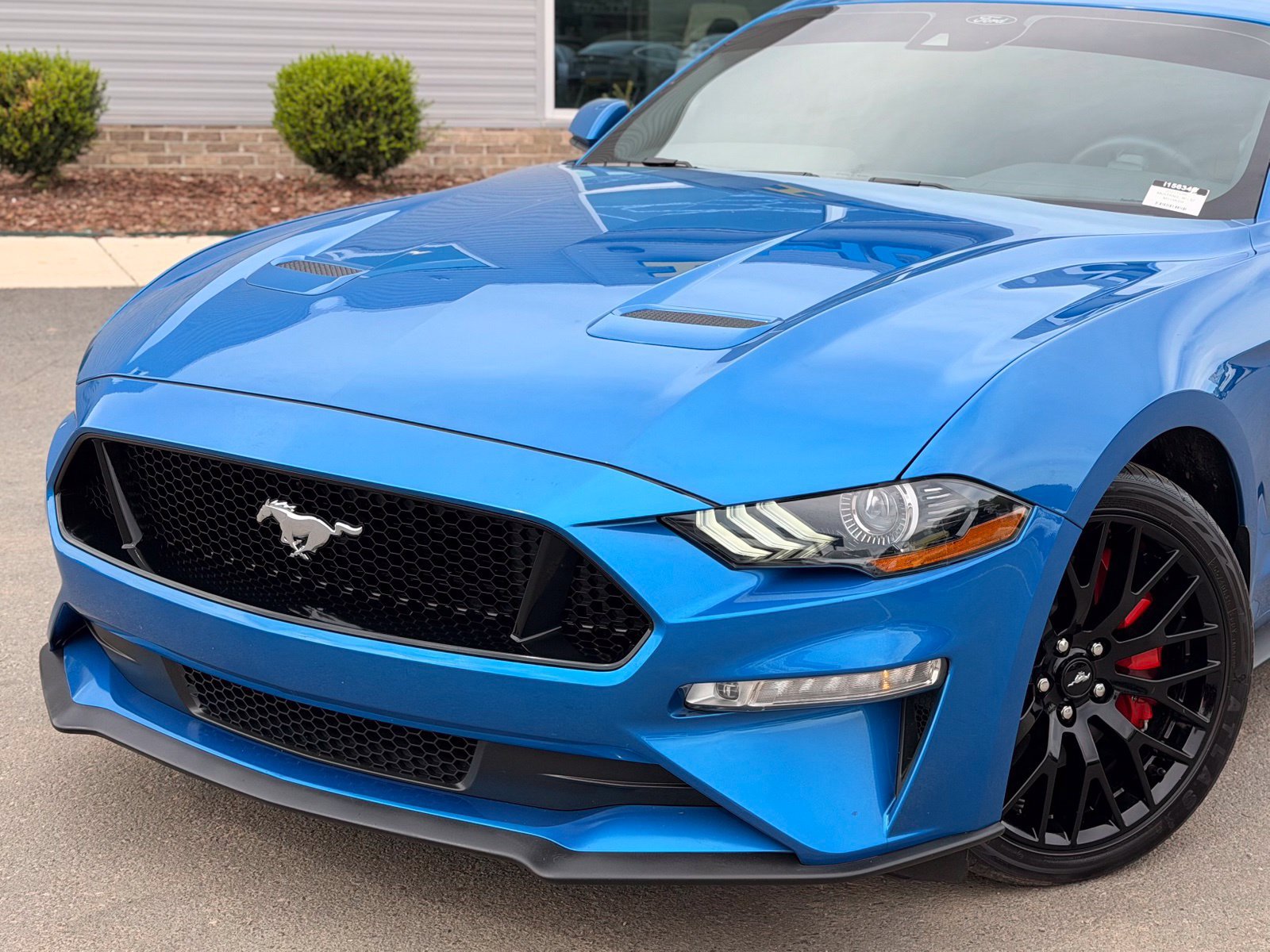 Used 2021 Ford Mustang GT Premium w/ Ford Safe & Smart Package RWD image 5