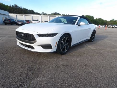 Used 2025 Ford Mustang Premium RWD image 5