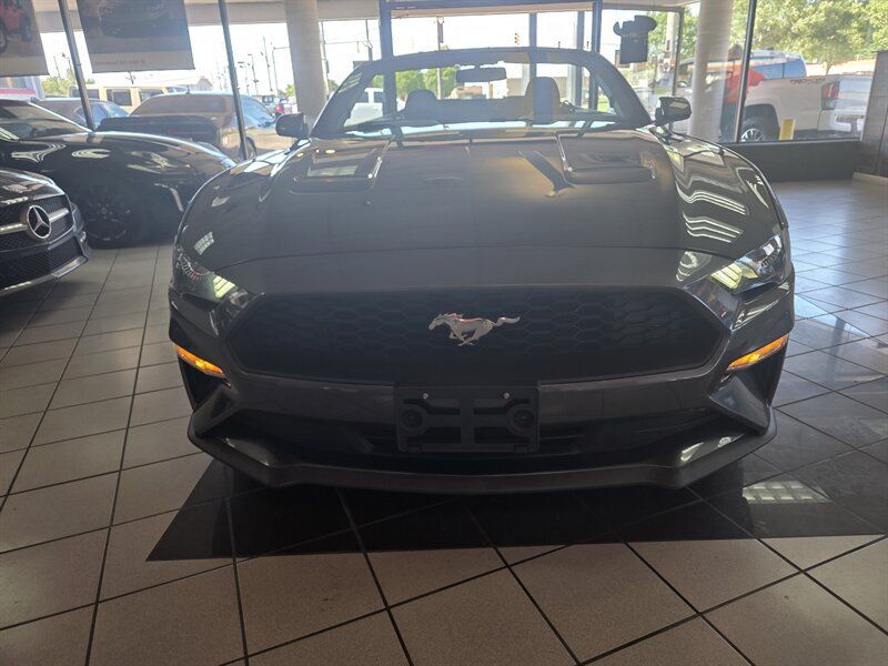 Used 2019 Ford Mustang Convertible RWD image 4