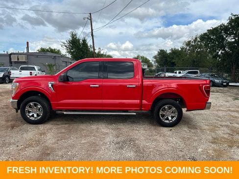 Used 2023 Ford F150 XLT w/ Equipment Group 301A Mid RWD image 5
