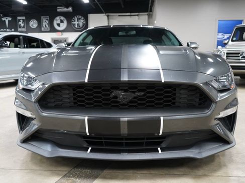 Used 2019 Ford Mustang Premium w/ Ecoboost Performance Package RWD image 8