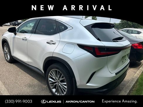 Used 2024 Lexus NX 350h AWD w/ Vision Package image 6
