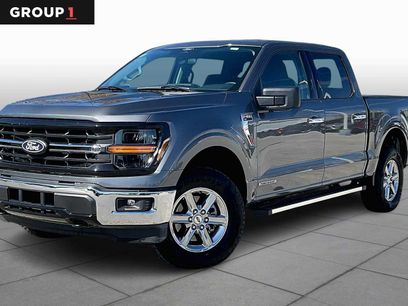 Used 2025 Ford F150 XLT w/ Equipment Group 301A Standard