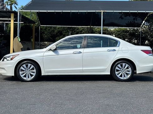 Used 2011 Honda Accord EX-L image 7